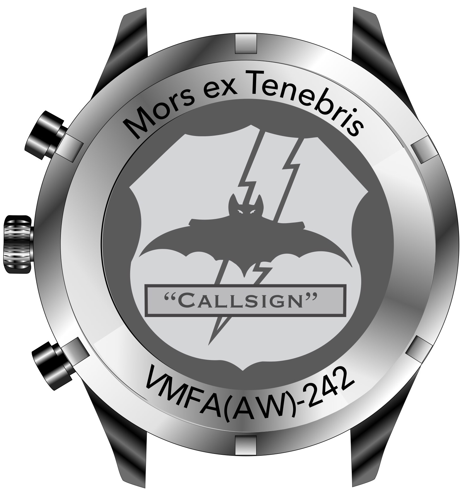 VMFA(AW)-242 Caseback